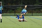 Women's Rugby vs Endicott  Wheaton Women's Rugby vs Endicott College.  Photo by Keith Nordstrom : Wheaton, Rugby, Endicott